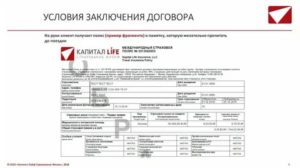 Капитал Лайф Страхование Жизни Как Расторгнуть Договор