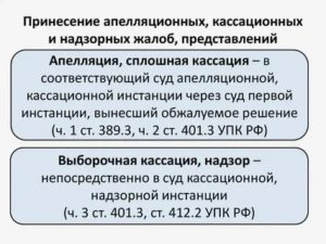 Кассационное представление на решение апелляционной инстанции приносится в