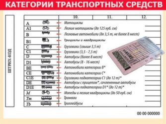 Категории водителей по новым водительским правам