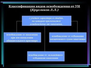Классификация видов освобождения от наказания и его отбывания