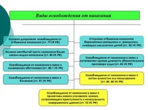 Классификация видов освобождения от наказания и его отбывания