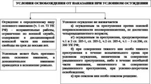 Классификация видов освобождения от наказания и его отбывания