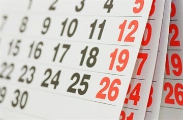 Когда положен отпуск первый отпуск после трудоустройства: через 6 или 12 месяцев