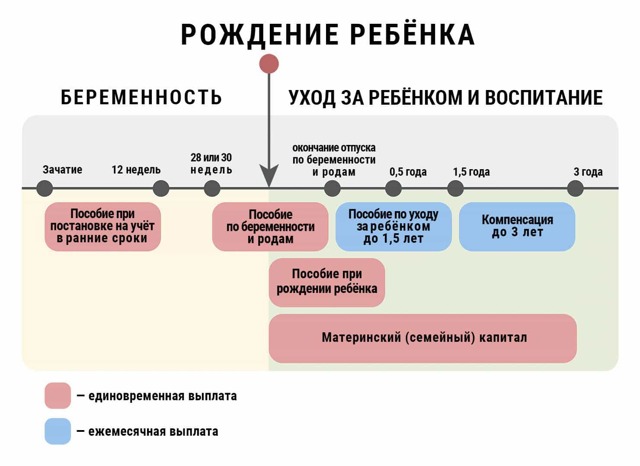 Когда выплачивают декретные: срок выплаты пособия по беременности и родам