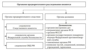 Компетентно ли МВД РФ на осуществление предварительного расследования
