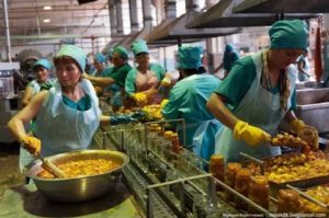 Консервация Предприятия Что Делать с Работниками