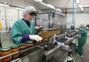 Консервация Предприятия Что Делать с Работниками