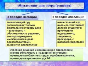 Конституционное право осужденного на пересмотр приговора вышестоящим судом