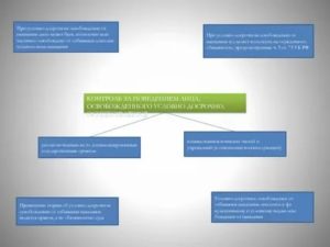 Контроль за условно досрочно освобожденными от отбывания наказания