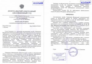 Краткая апелляционная жалоба по арбитражному делу