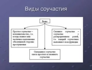 Критерии классификации соучастия в преступлении на формы и виды