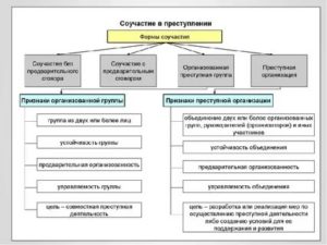 Критерии классификации соучастия в преступлении на формы и виды