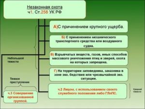 Крупный ущерб при незаконной охоте ст 258 УК РФ определяется на основании