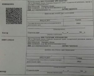 Кто должен платить госпошлину при покупке квартиры