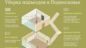 Кто Должен Убираться в Подъезде Многоквартирного Дома
