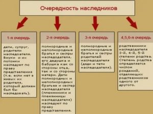 Кто Имеет Первоочередное Право на Наследство