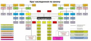 Кто Имеет Первоочередное Право на Наследство