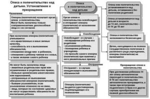 Кто Является Опекуном Ребенка После Развода