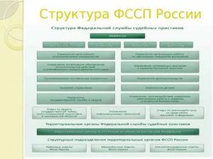 Кто Контролирует Работу Судебных Приставов