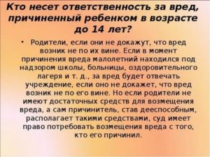 Кто несет ответственность за кражу в детском саду