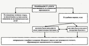 Кто освобождается от уплаты алиментов на ребенка