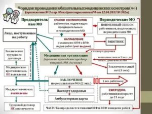 Кто Отвечает за Медосмотры в Организации