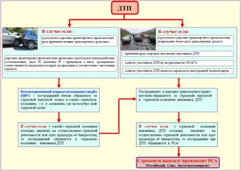 Куда обращаться в случае ДТП по ОСАГО?