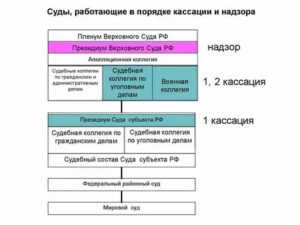 Куда Обжаловать Постановление Арбитражного Суда Кассационной Инстанции