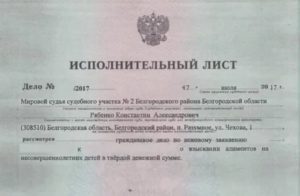 Куда Подается Исполнительный Лист на Исполнение