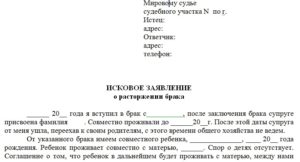 Куда подать заявление на развод в спб если есть дети