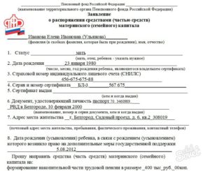 Куда подавать заявление на материнский капитал
