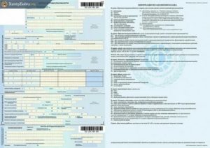 Куда Сдавать Больничный Лист Индивидуальному Предпринимателю