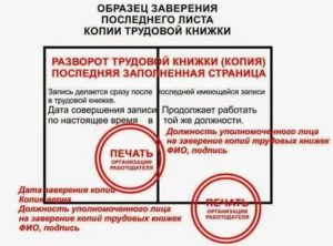 Куда Требуется Копия Трудовой Книжки Заверенная Работодателем