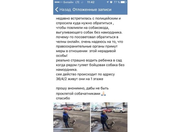 Куда жаловаться, если собаку выгуливают без намордника