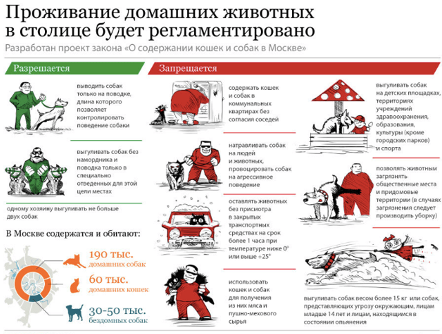 Куда жаловаться, если собаку выгуливают без намордника