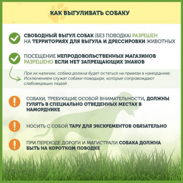 Куда жаловаться, если собаку выгуливают без намордника