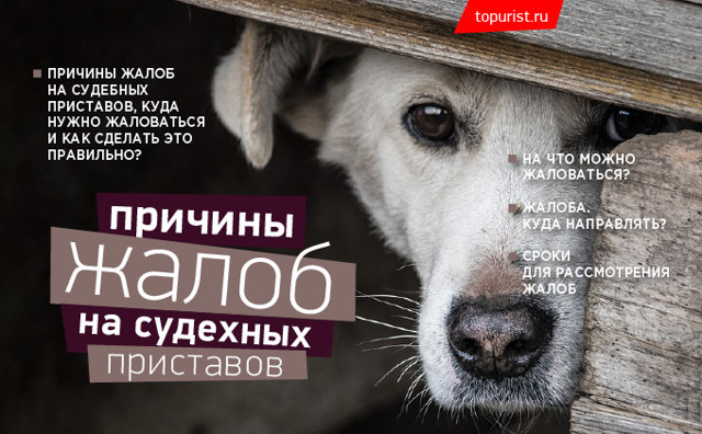 Куда жаловаться на судебных приставов: форма претензии, инстанции для обращения