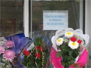 Купленный цветок возврату и обмену не подлежит
