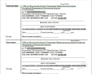 Квитанция на гос пошлину на подачу искового заявления