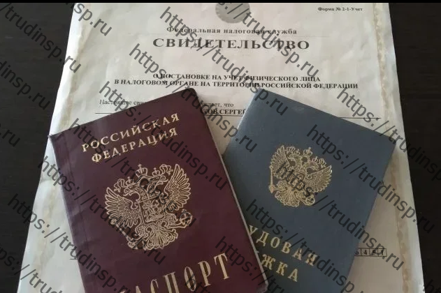 Легкий труд для беременных по трудовому кодексу