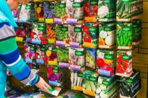 Можно ли поменять семена в магазине