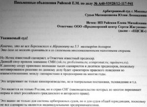 Можно ли в суд представить пояснения к исковому заявлению