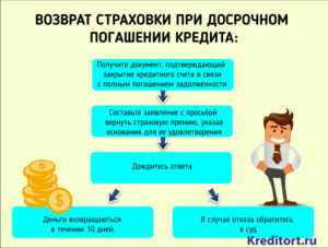Можно ли вернуть деньги за каско при досрочном погашении автокредита