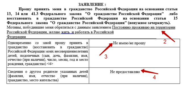 На чье имя подается заявление о приеме в гражданство российской федерации