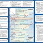 На какой неделе женщина может уйти в декретный отпуск