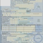 На какой неделе женщина может уйти в декретный отпуск
