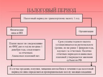 Налоговый период для транспортного налога
