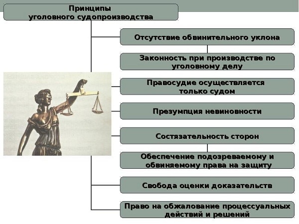 Назначение уголовного судопроизводства и основные принципы