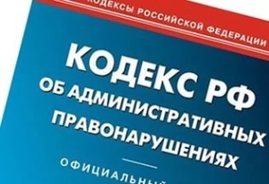 Ненадлежащее исполнение родительских обязанностей