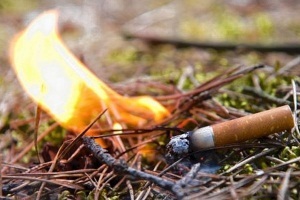 Неосторожность, легкомыслие и небрежность в уголовном праве